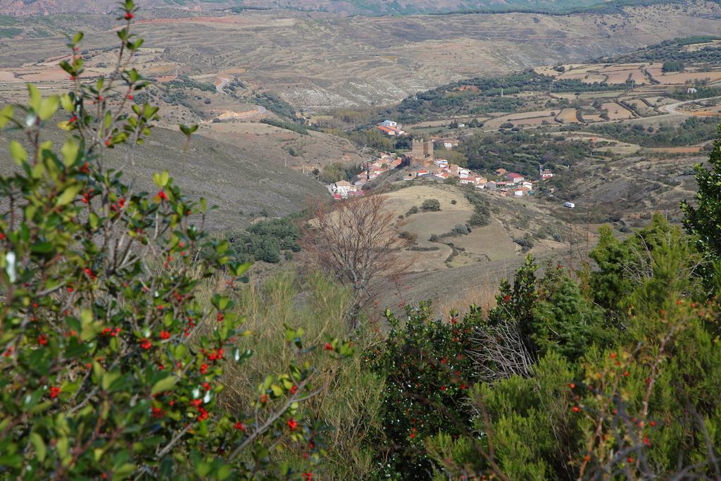 Ágreda Vivienda Turistica Los Mesones מראה חיצוני תמונה